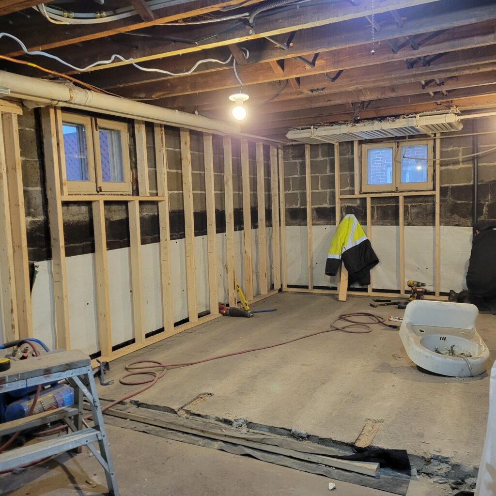 Basement Renovation